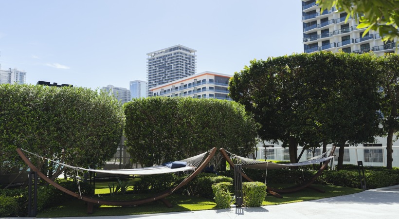our peaceful rooftop deck two hammocks next to a sidewalk with trees behind them